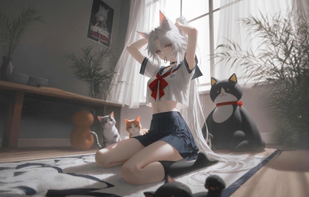 咒术回战第三季战斗场面